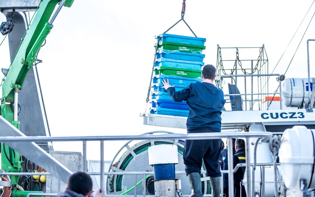 Punta del Moral hace historia: primera entidad andaluza y segunda en España en obtener la certificación Friend of the Sea