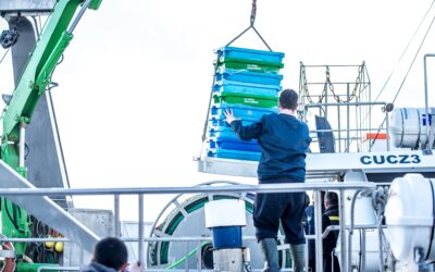Punta del Moral hace historia: primera entidad andaluza y segunda en España en obtener la certificación Friend of the Sea