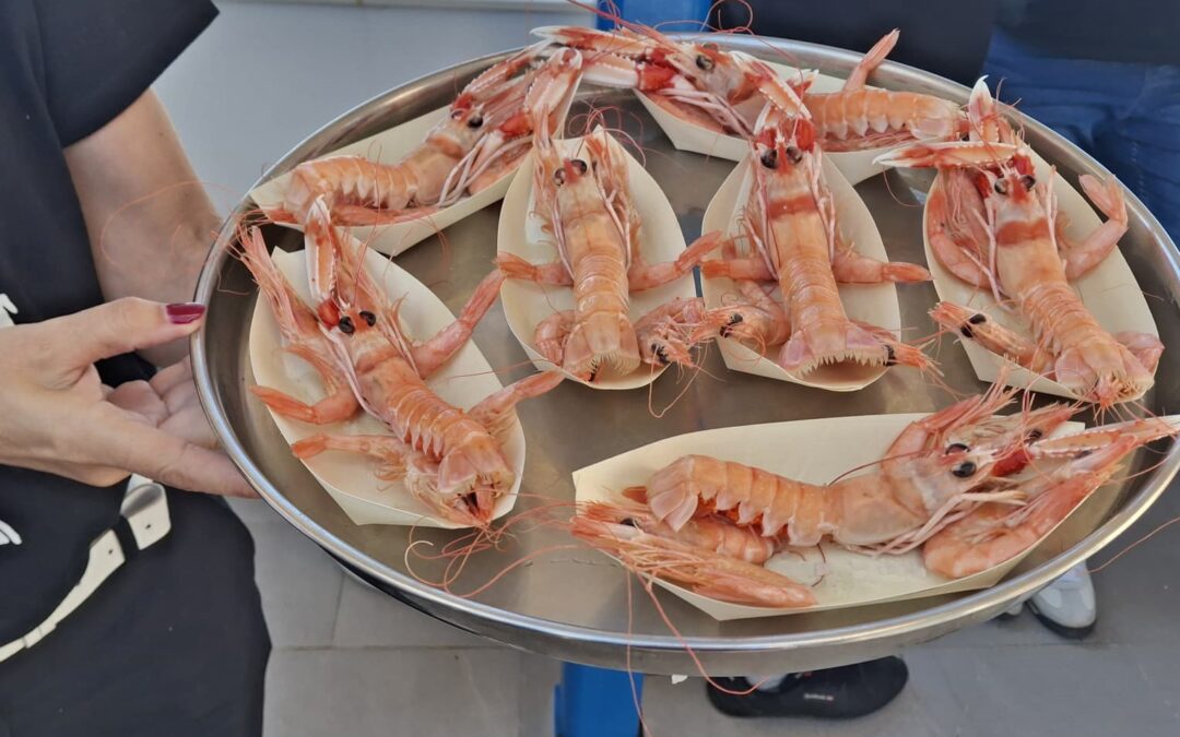 Del mar a la lonja: los productos pesqueros de la OPP80 con nombre, origen y trazabilidad