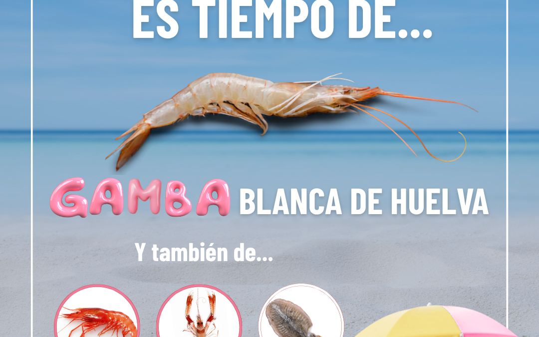 El verano es tiempo de… pescado y marisco del Golfo de Cádiz